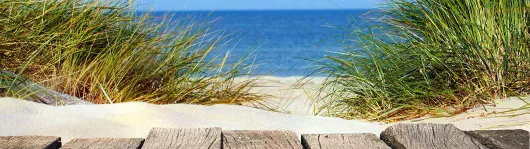 duene Ostsee Düne